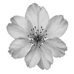 Link Image