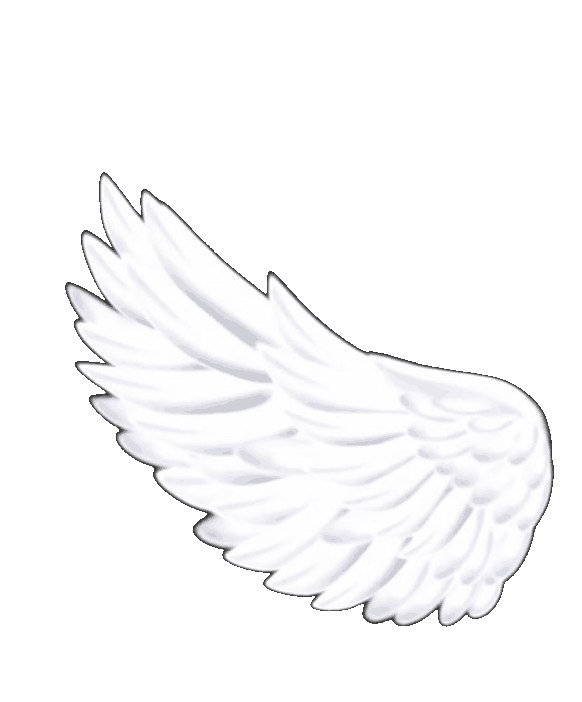 Link Image